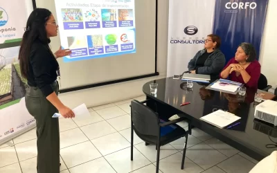 Crean gobernanza de proyecto de cultivos hidropónicos del sector costero