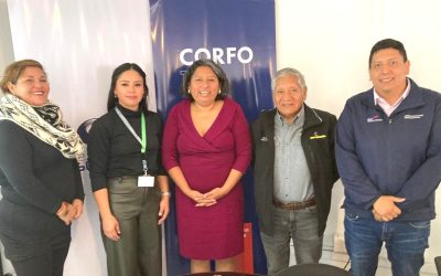 Programa de Bien Público, apoyado por Corfo con recursos FNDR, beneficiará a caletas de la región