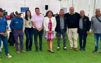 Revolución verde en el desierto: Cultivos hidropónicos con agua de mar llegan al borde costero de Tarapac